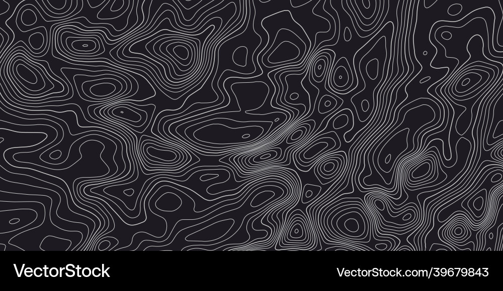 Topographic line map pattern contour elevation Vector Image
