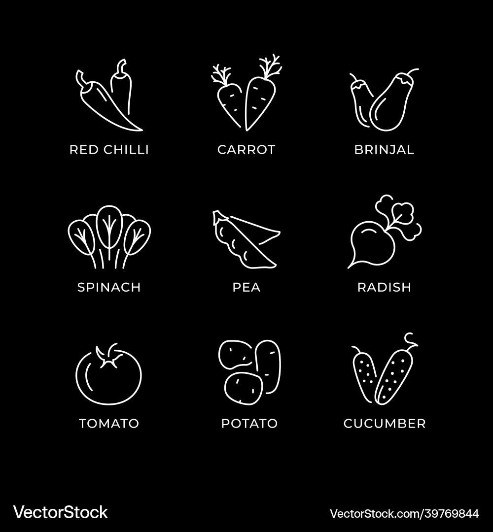 Set line icons of vegetables vector image