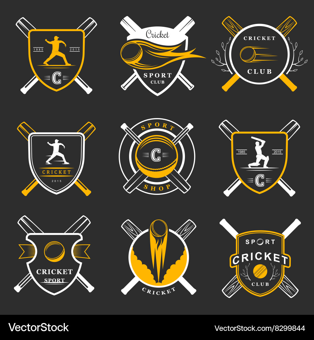 Set of badges cricket vector image