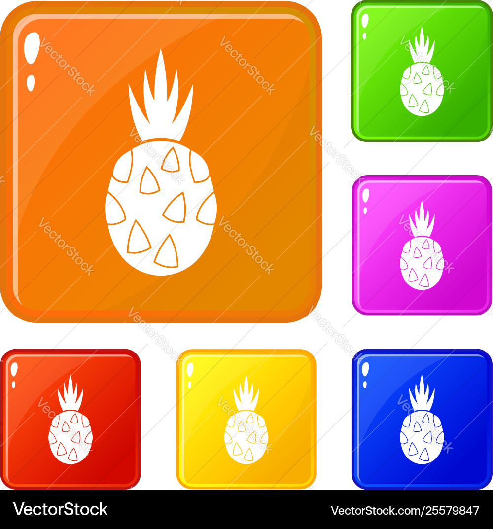 Pitaya dragon fruit icons set color Pitaya dragon fruit icons set color vector image
