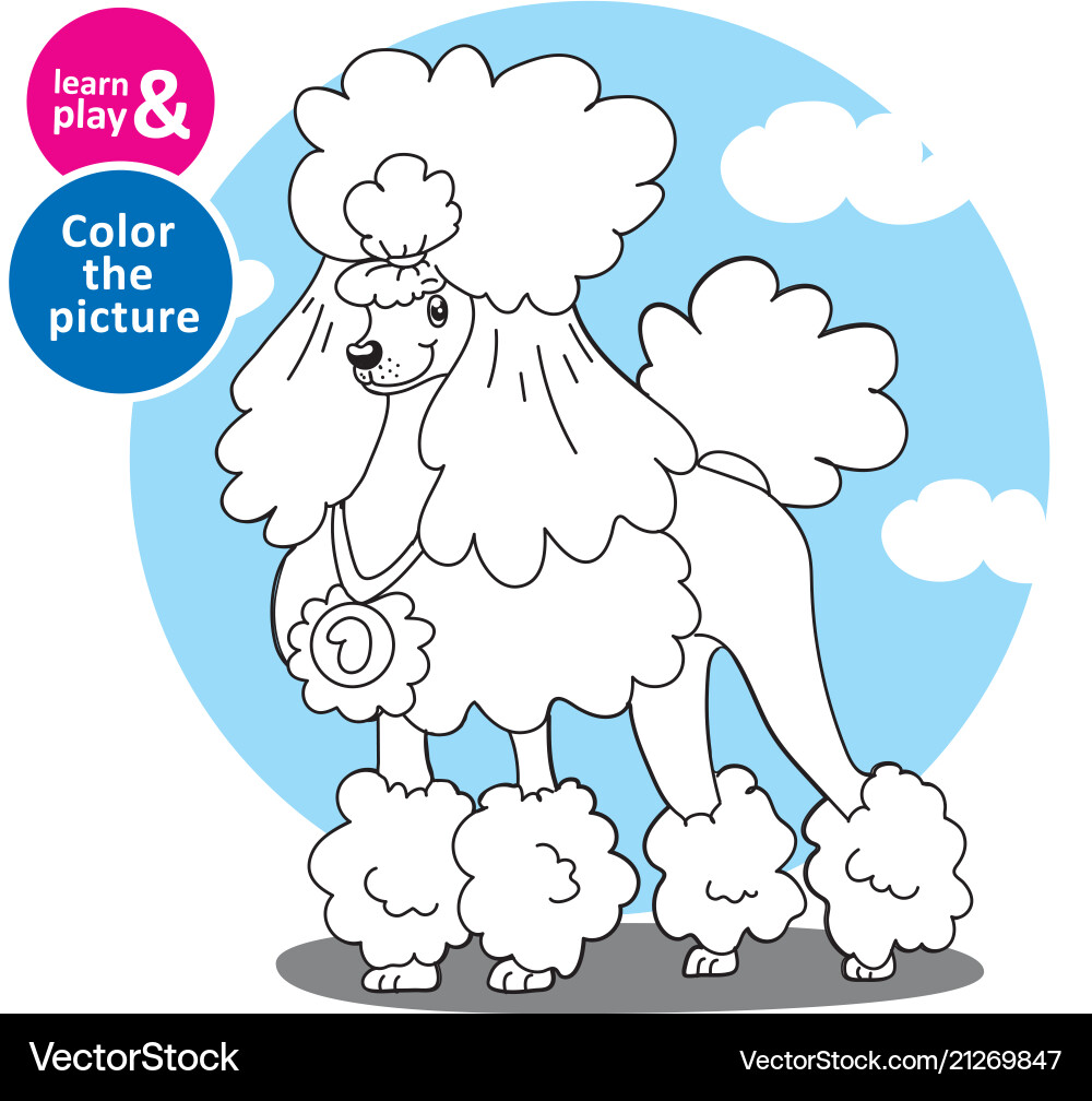 Task for children paint poodle with color pen Task for children paint poodle with color pen vector image