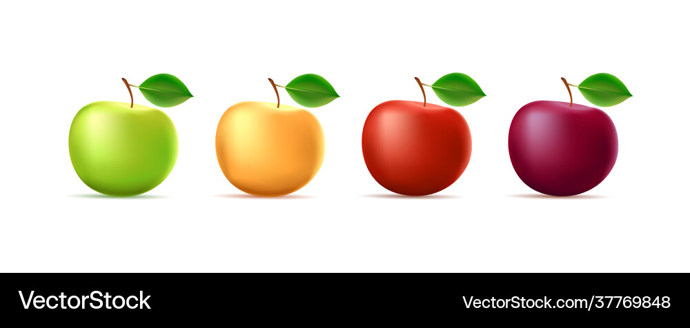 Set 3d apple in four different Vector Image