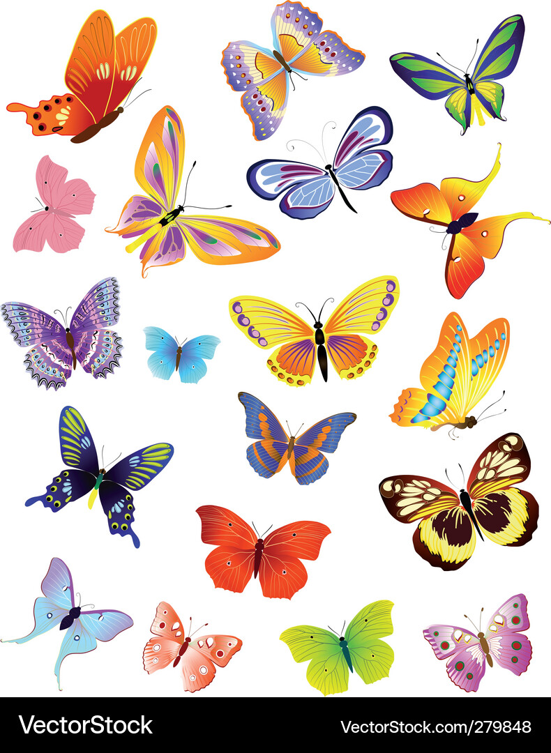 Vibrant Butterfly Collection Vector Image