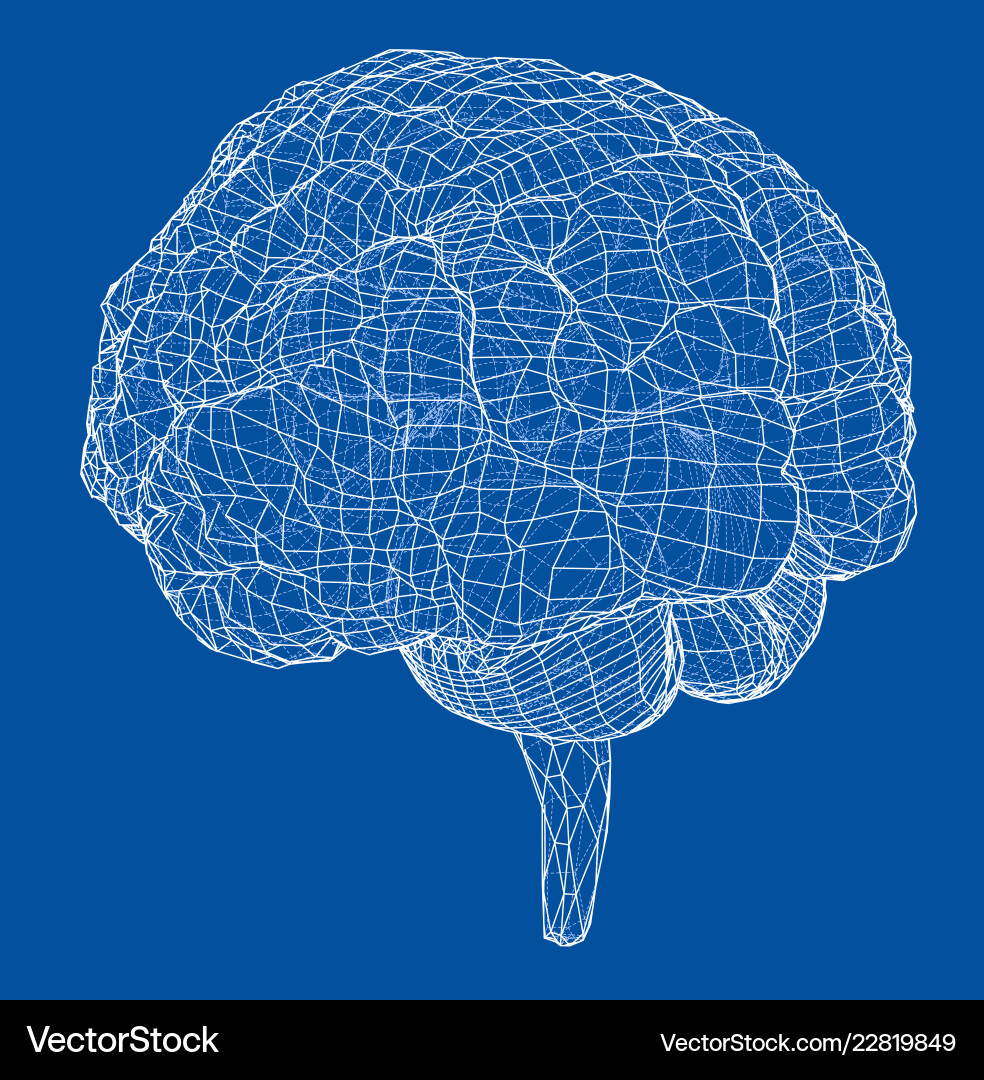 3d outline brain rendering of vector image