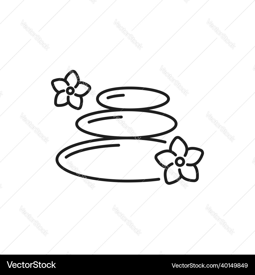 Pebbles with plumeria flowers isolated spa stones Pebbles with plumeria flowers isolated spa stones vector image