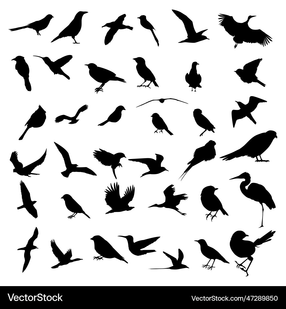 Art Art Vector Image