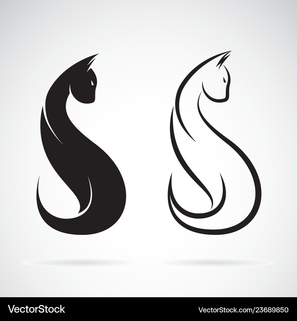 Icon cat design on a white background pet animals Icon cat design on a white background pet animals vector image