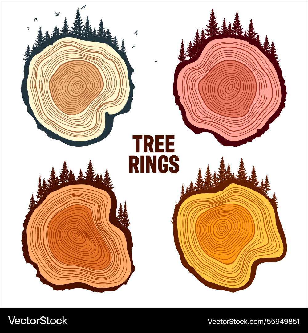 Round tree trunk cuts with trees forest and birds Round tree trunk cuts with trees forest and birds vector image