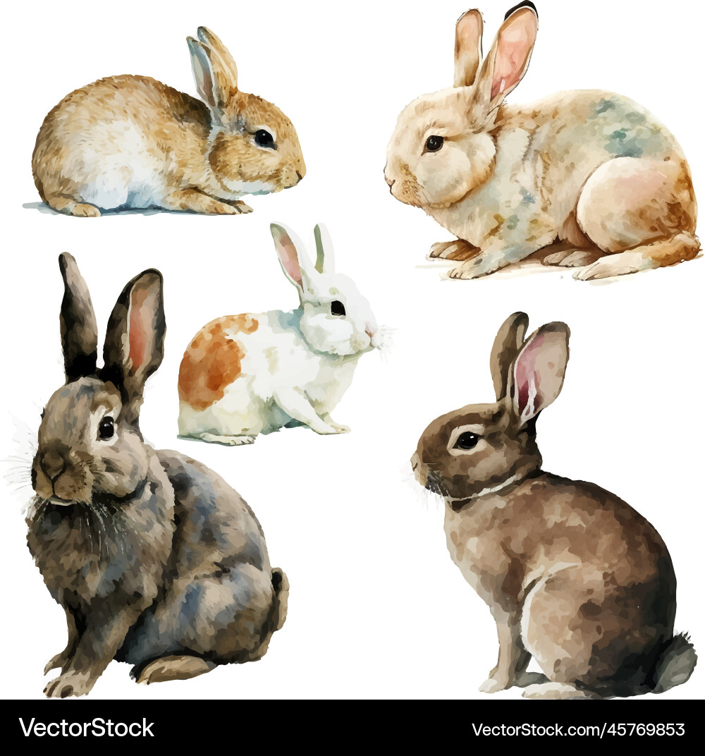 Watercolor of a cute fluffy grey rabbit Watercolor of a cute fluffy grey rabbit vector image