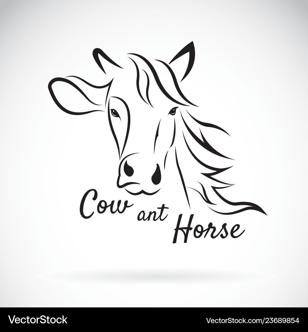 Cow head and horse design on a white Cow head and horse design on a white vector image