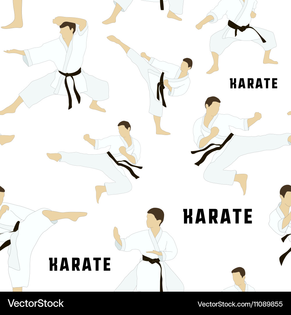 Karate Techniques and Patterns Vector Image