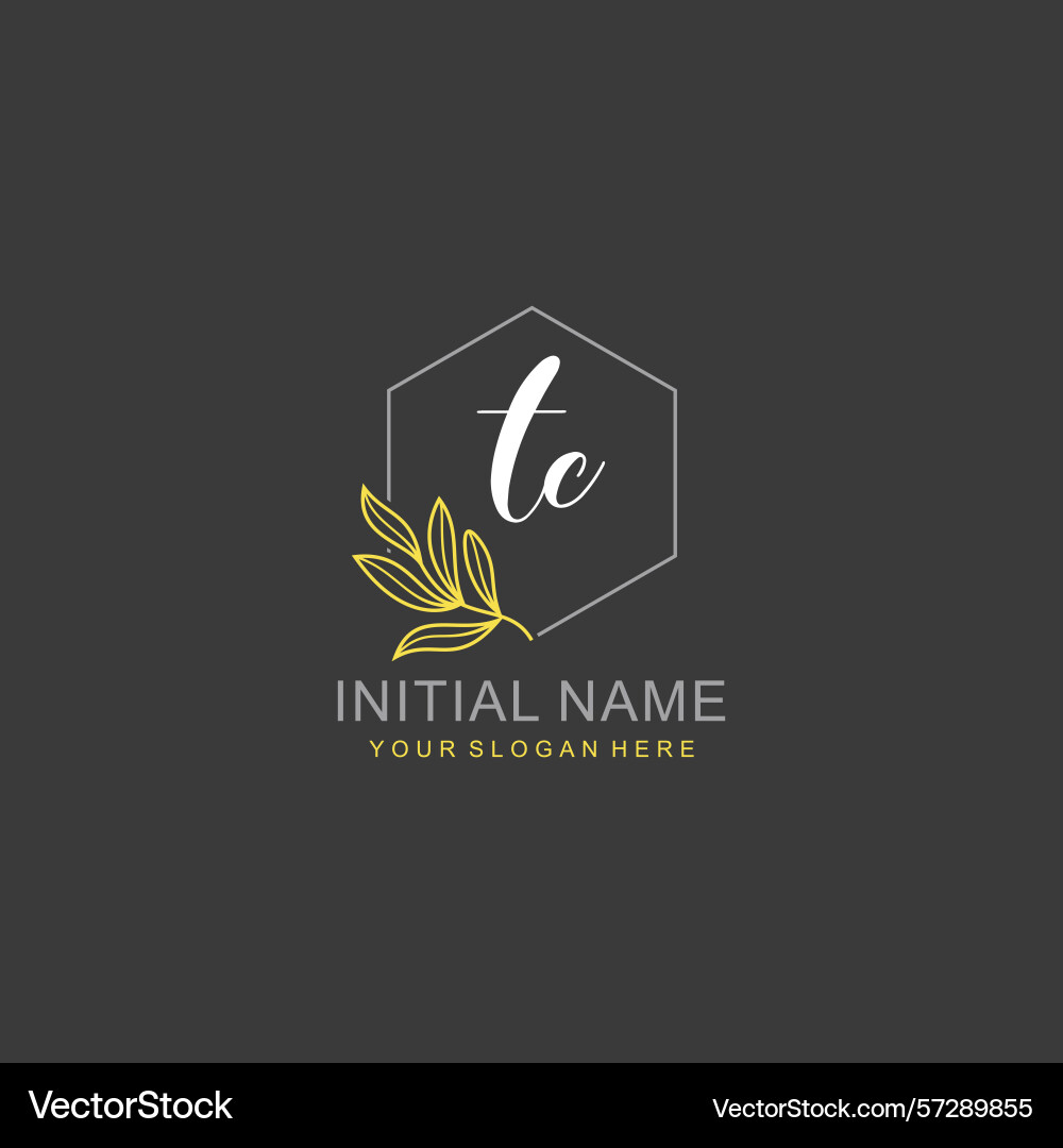 Tc initial logo templates with botanical elements Tc initial logo templates with botanical elements vector image