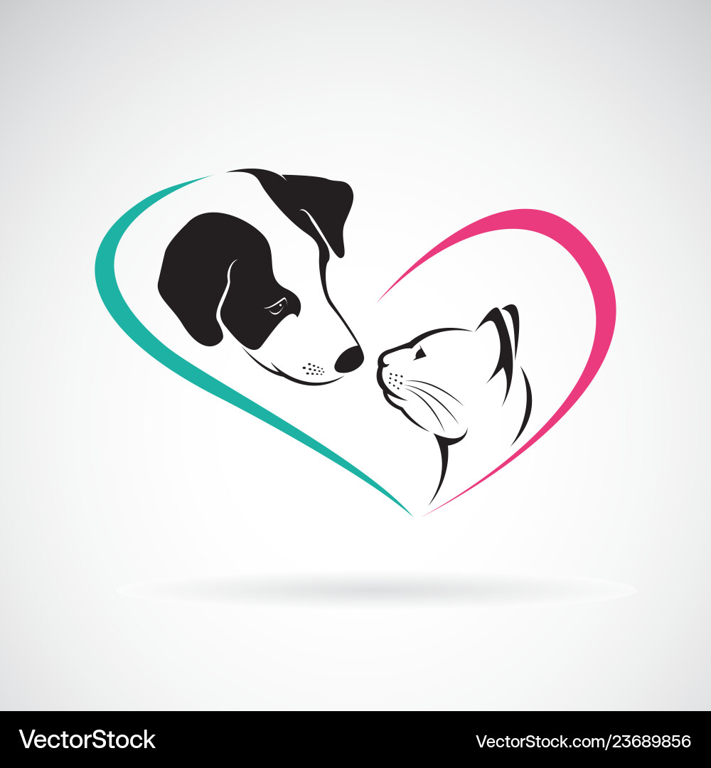Cute Dog and Cat Pet Illustration vector image