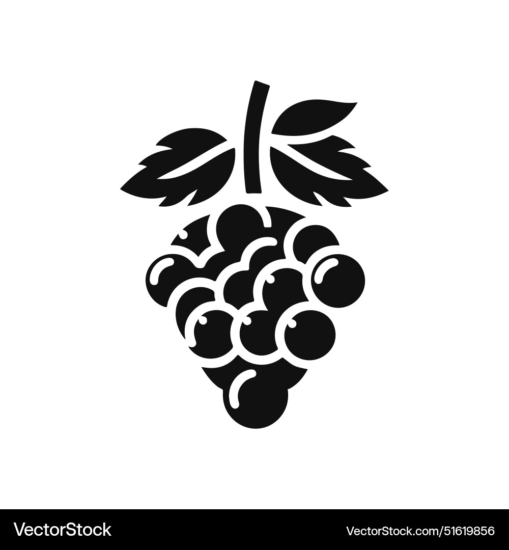 Flat silhouette grape art in black and white Vector Image