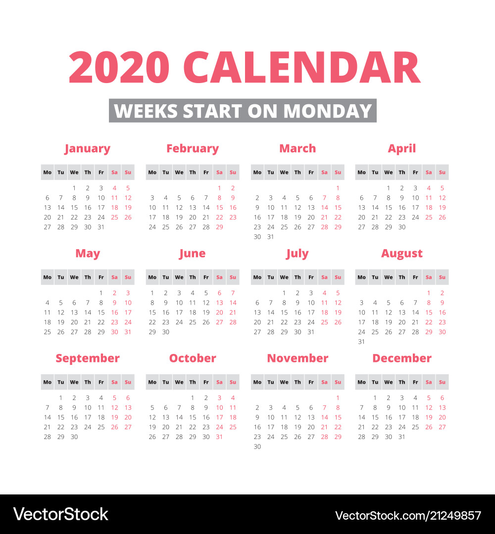 2020 Calendar - Simple Yearly View vector image