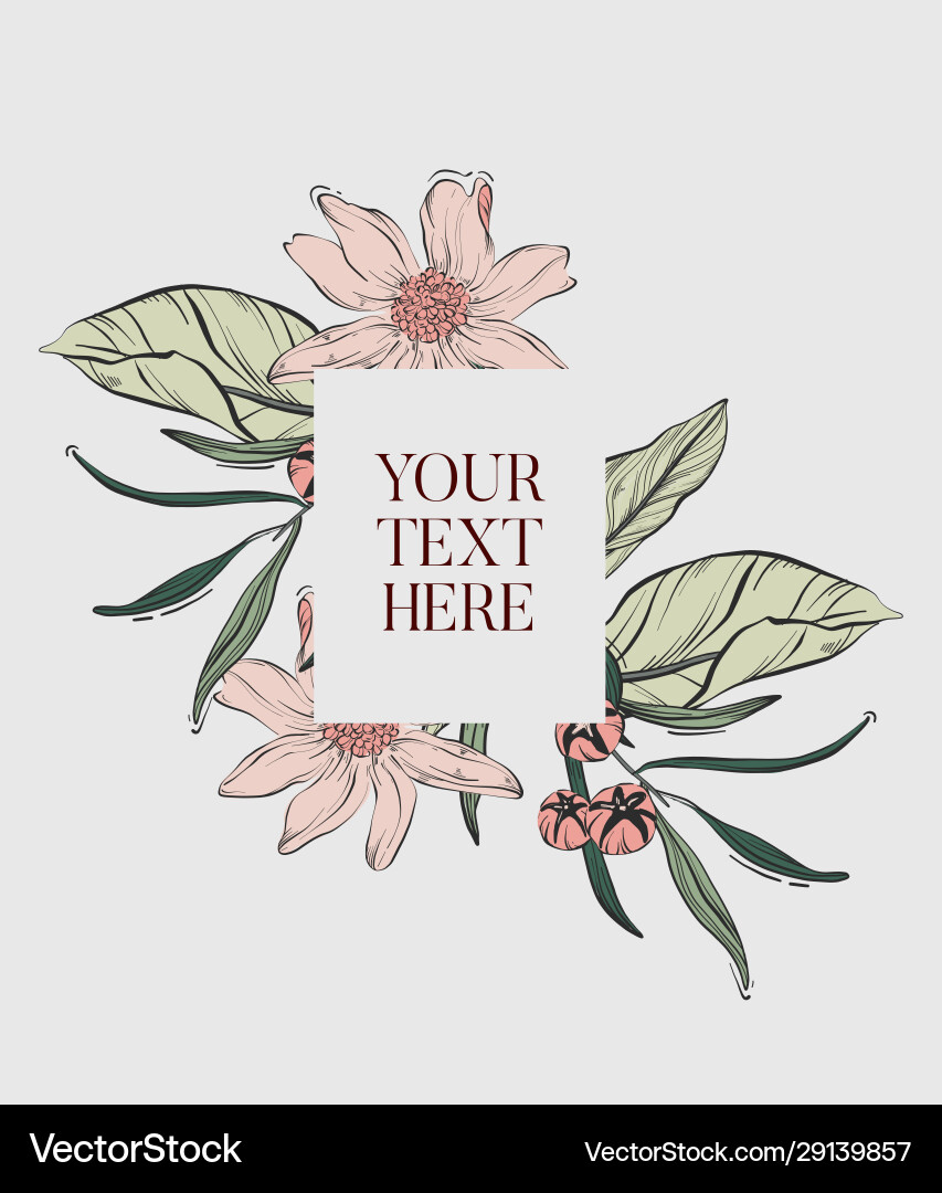 Magnolia line drawing botanical hand drawn vector image