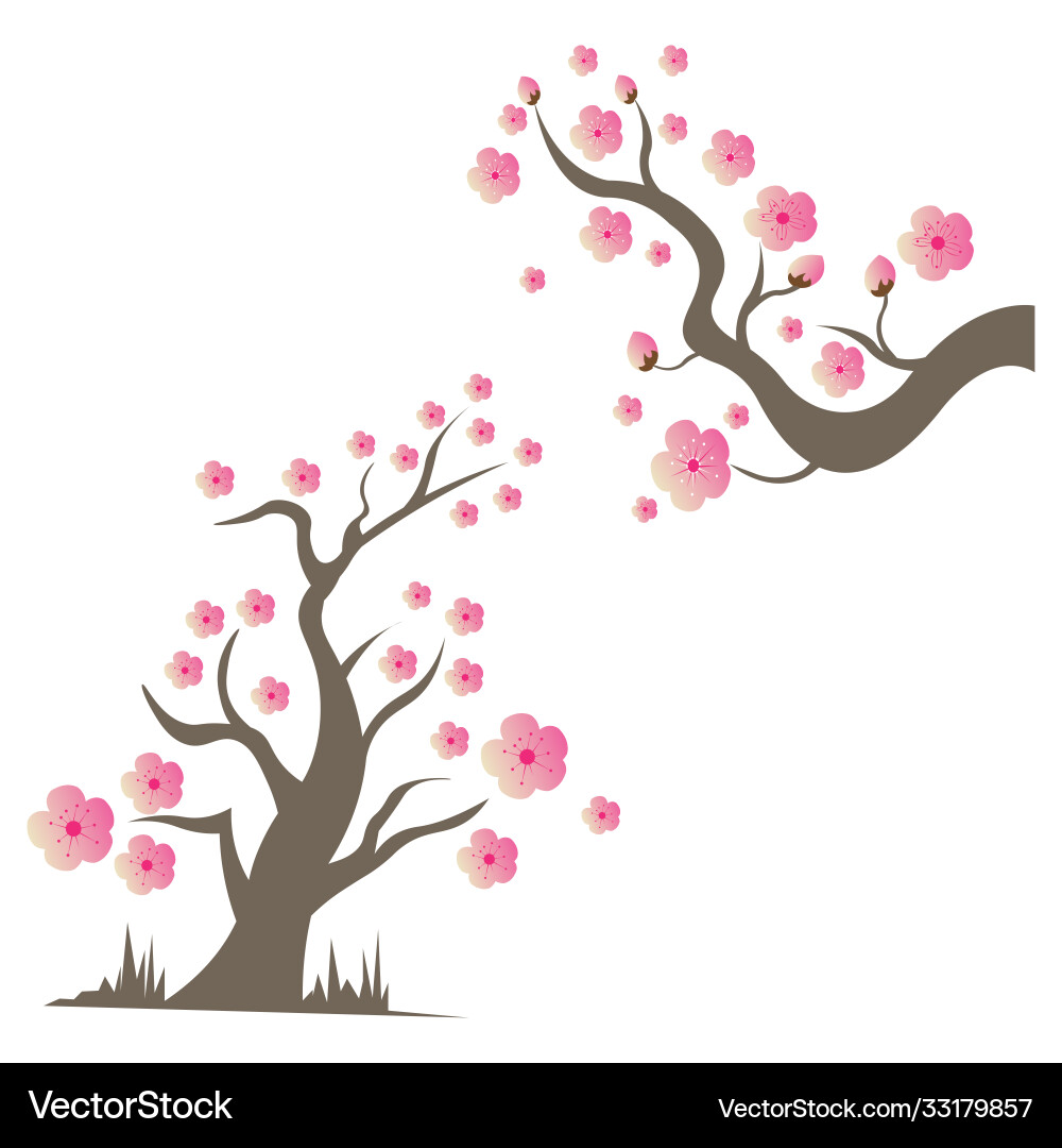 Sakura beauty flower icon design Sakura beauty flower icon design vector image