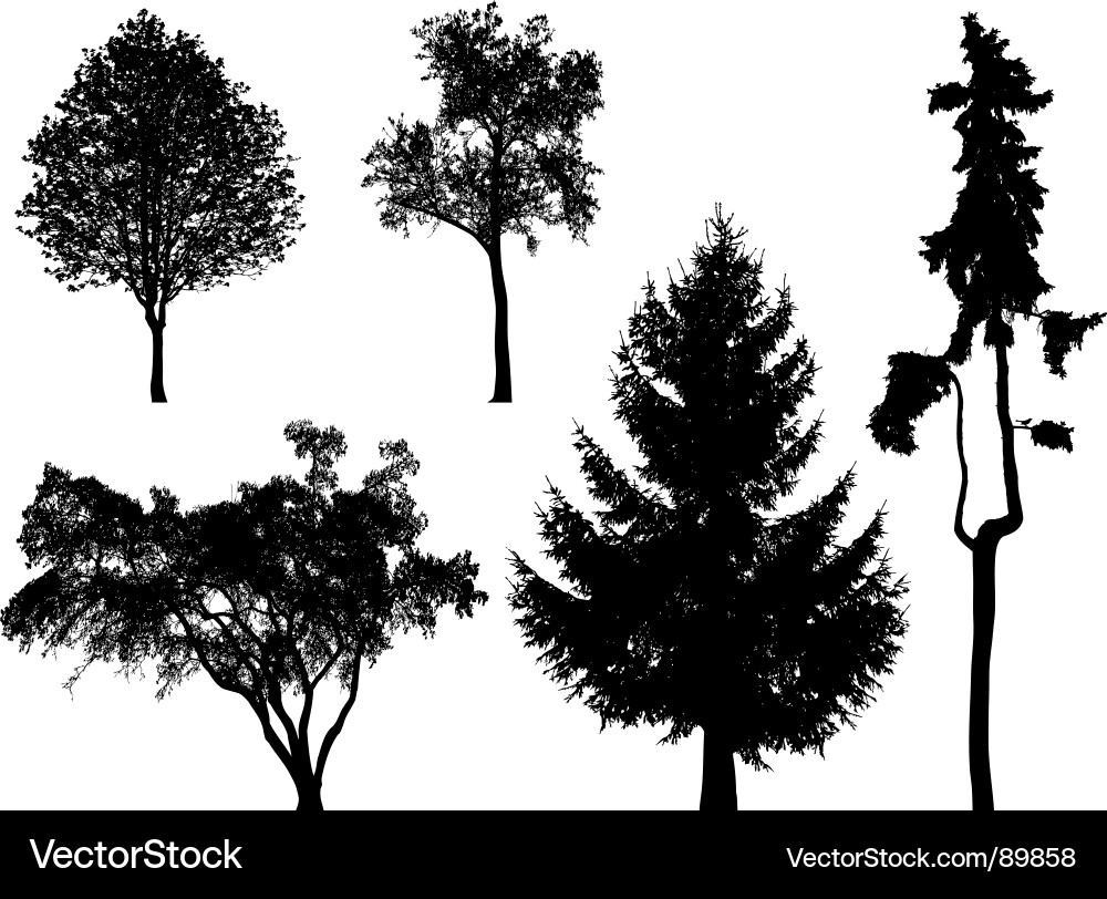 Trees Royalty Free Vector Image - VectorStock