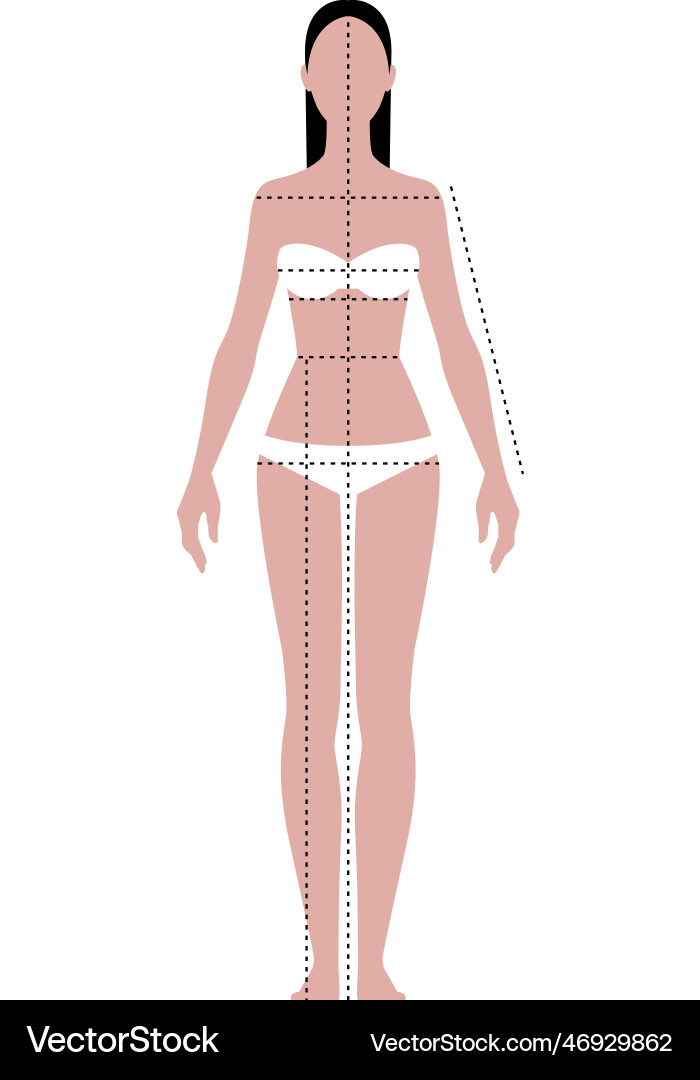 Pattern of the female body measurements in full Pattern of the female body measurements in full vector image