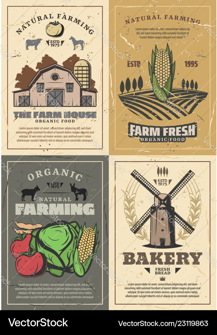 Farming farm barn field vegetables and animals Farming farm barn field vegetables and animals vector image