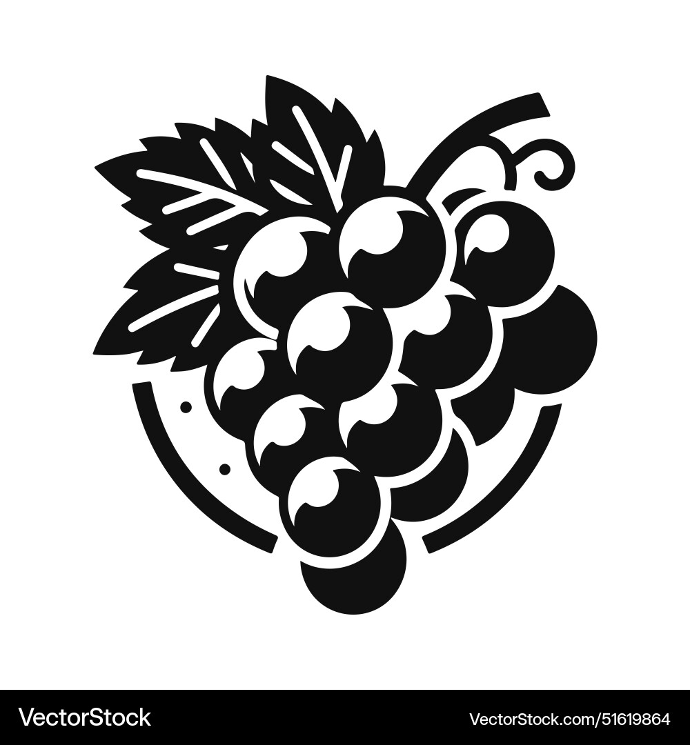 Artistic black and white grape silhouette Vector Image
