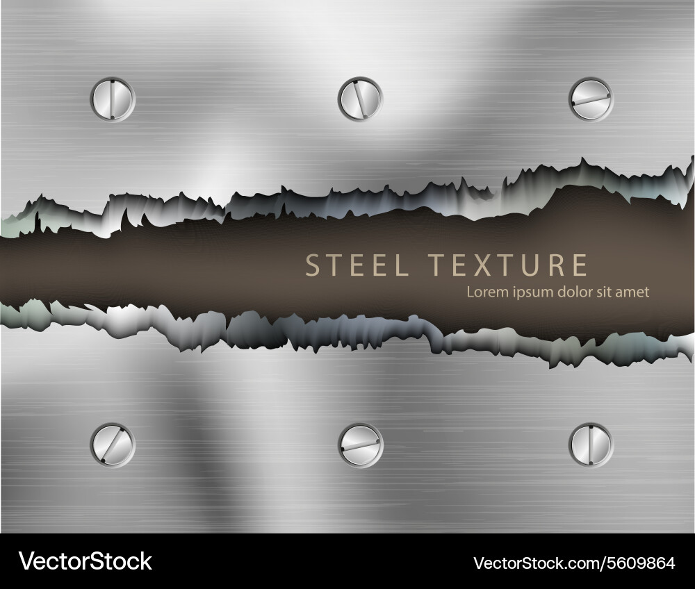 Metallic Texture Background Vector Image