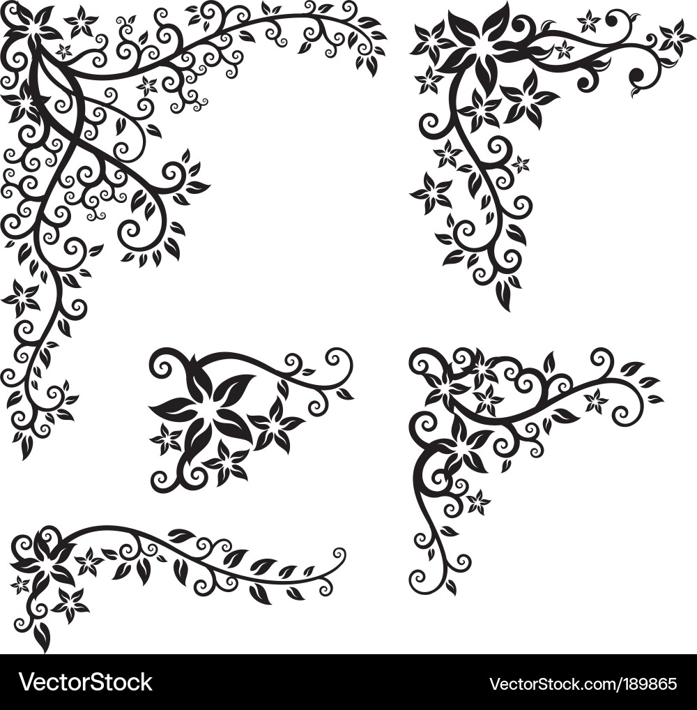 Elegant Floral Border Set vector image