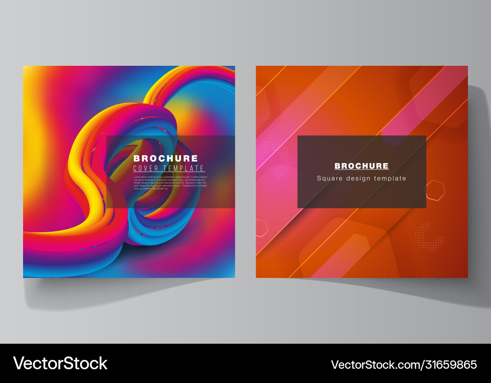 Minimal layout two square Minimal layout two square vector image