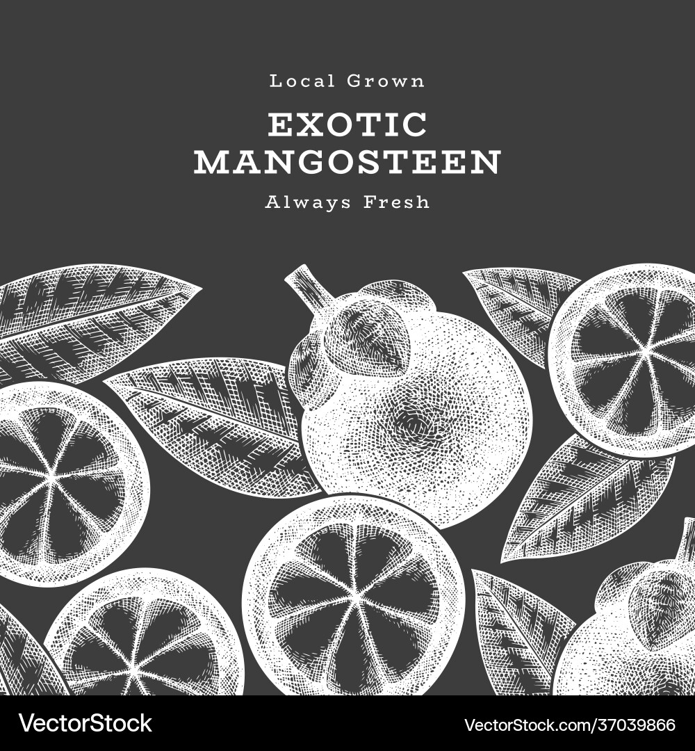 Hand gezeichnete Skizze Stil Mangosteen Design Hand gezeichnete Skizze Stil Mangosteen Design vektorbild