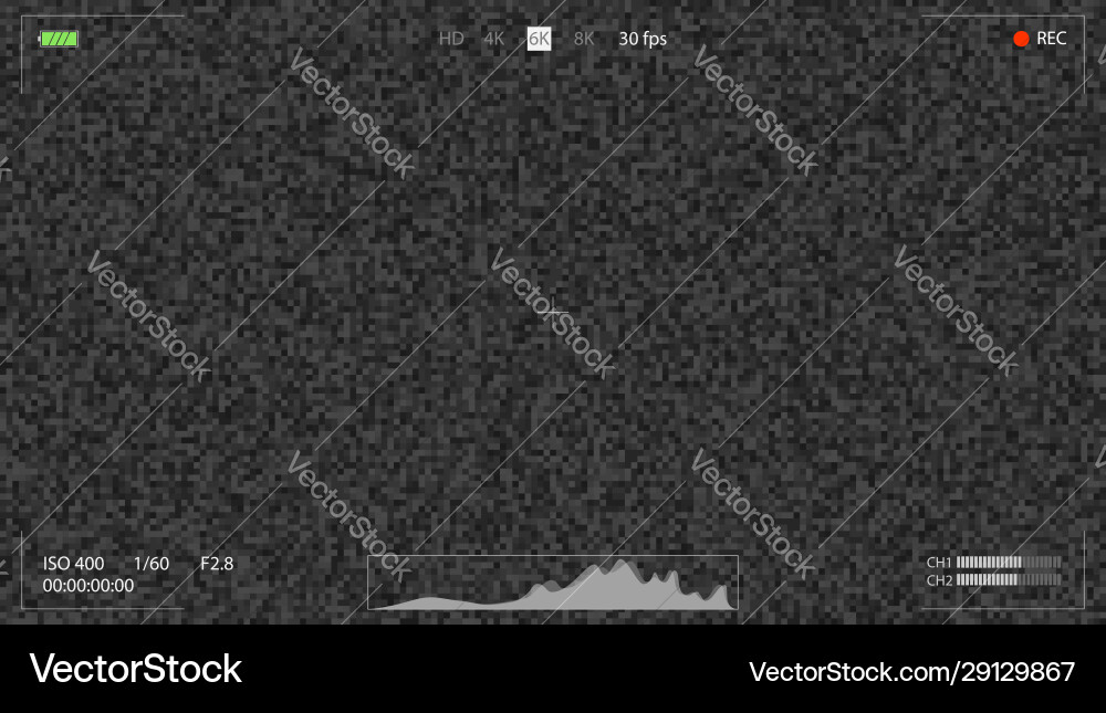 Digital Camera Viewfinder - Noise Display vector image