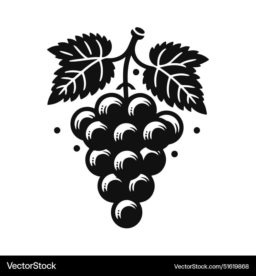 Elegant black and white grape silhouette Vector Image