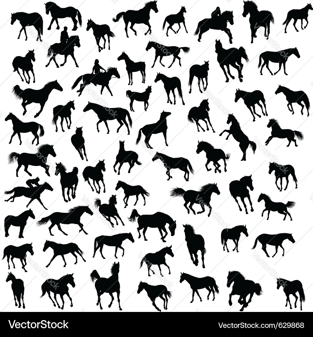Horse Silhouettes Collection vector image