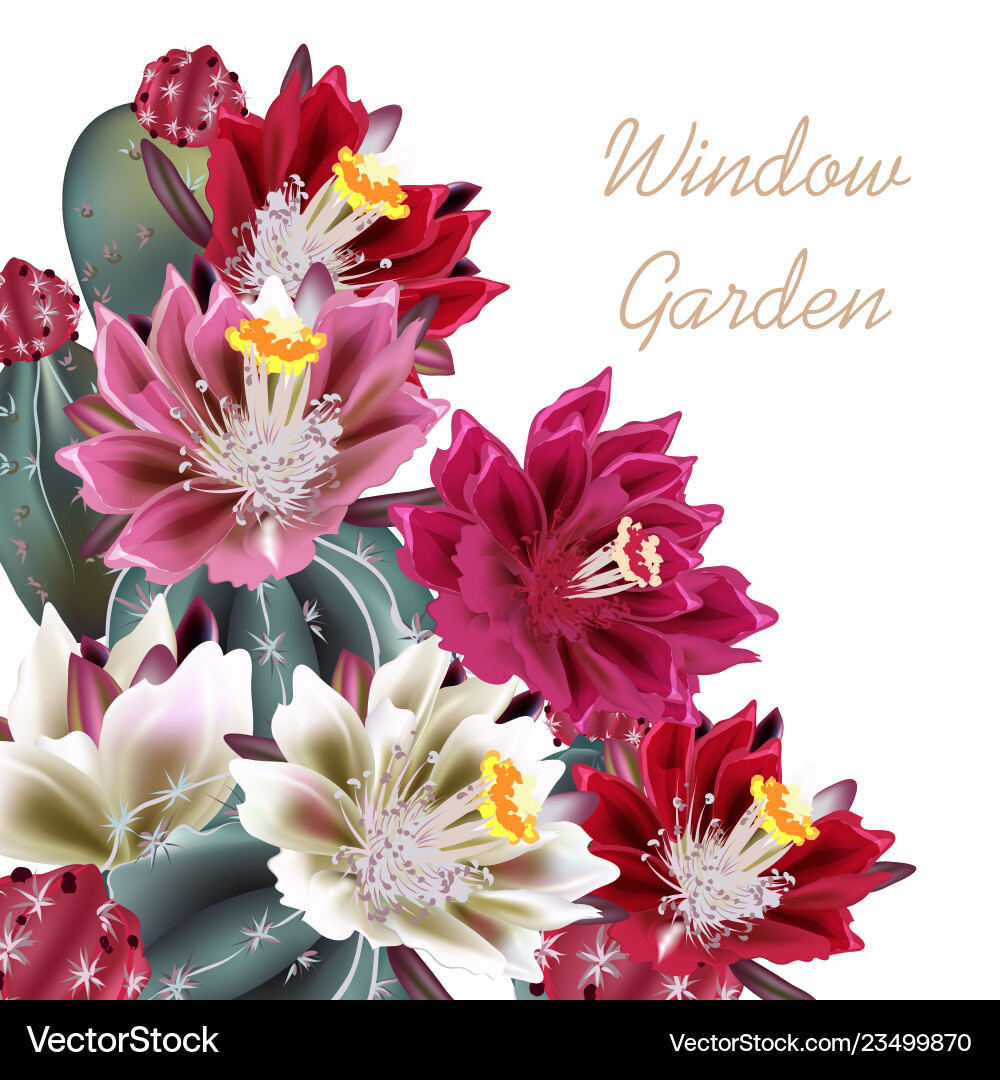 Beautiful realistic cactuses in watercolor style vector image