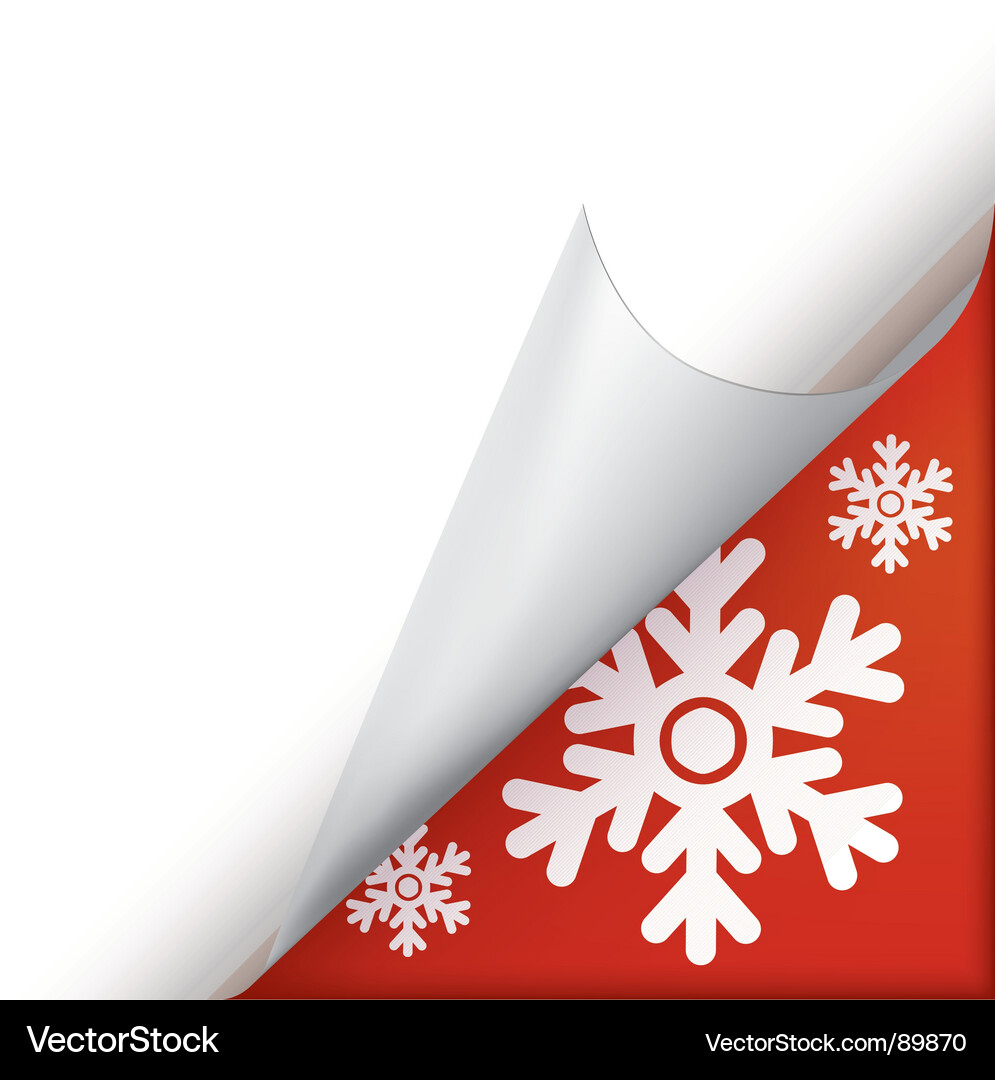 Curled Snowflake Corner Vector Image