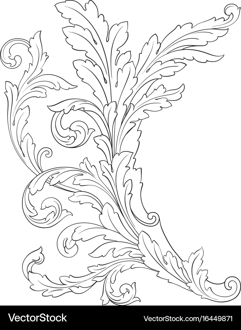 Ornament baroque Royalty Free Vector Image - VectorStock