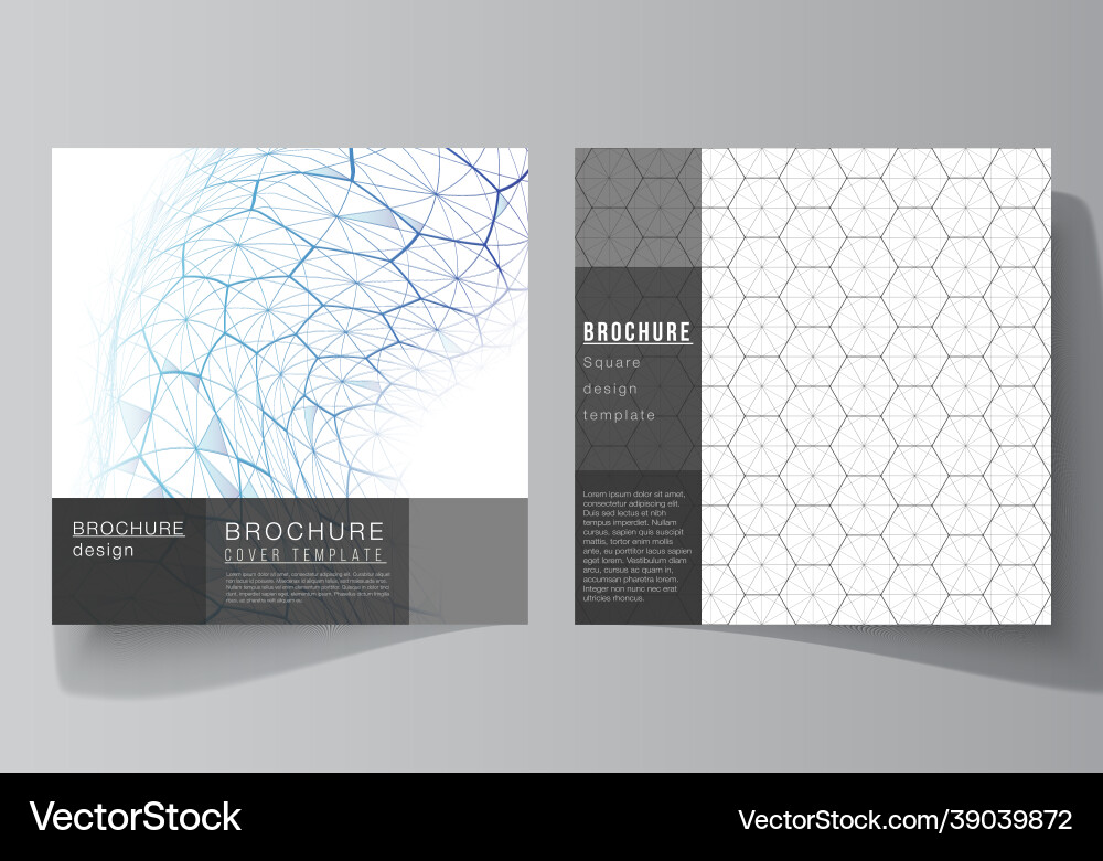 Layout of two square format covers design Layout of two square format covers design vector image