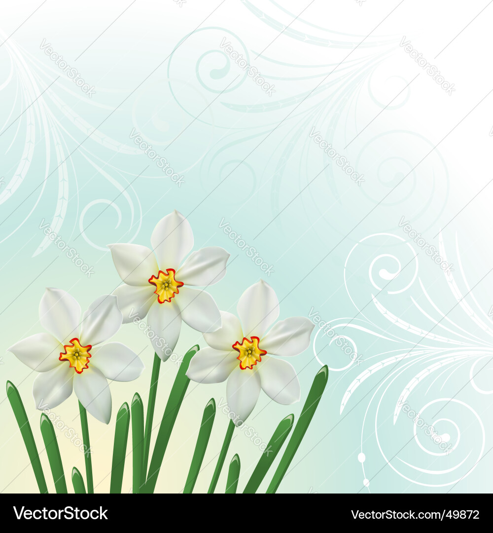 Spring background vector image