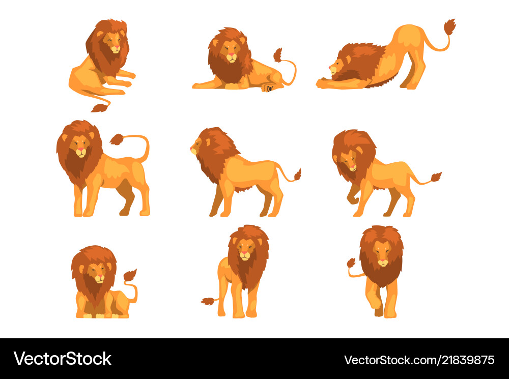 Proud powerful lion character in different actions Proud powerful lion character in different actions vector image