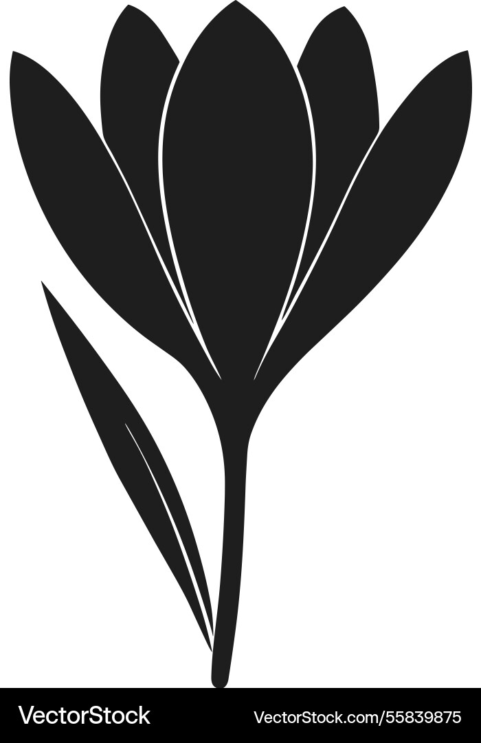 Schwarze Silhouette Crocus Blume Handgezeichnet Frühling Schwarze Silhouette Crocus Blume Handgezeichnet Frühling vektorbild