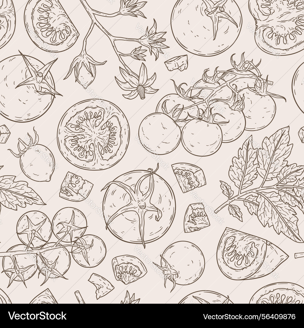 Linear seamless pattern with tomatoes Linear seamless pattern with tomatoes vector image