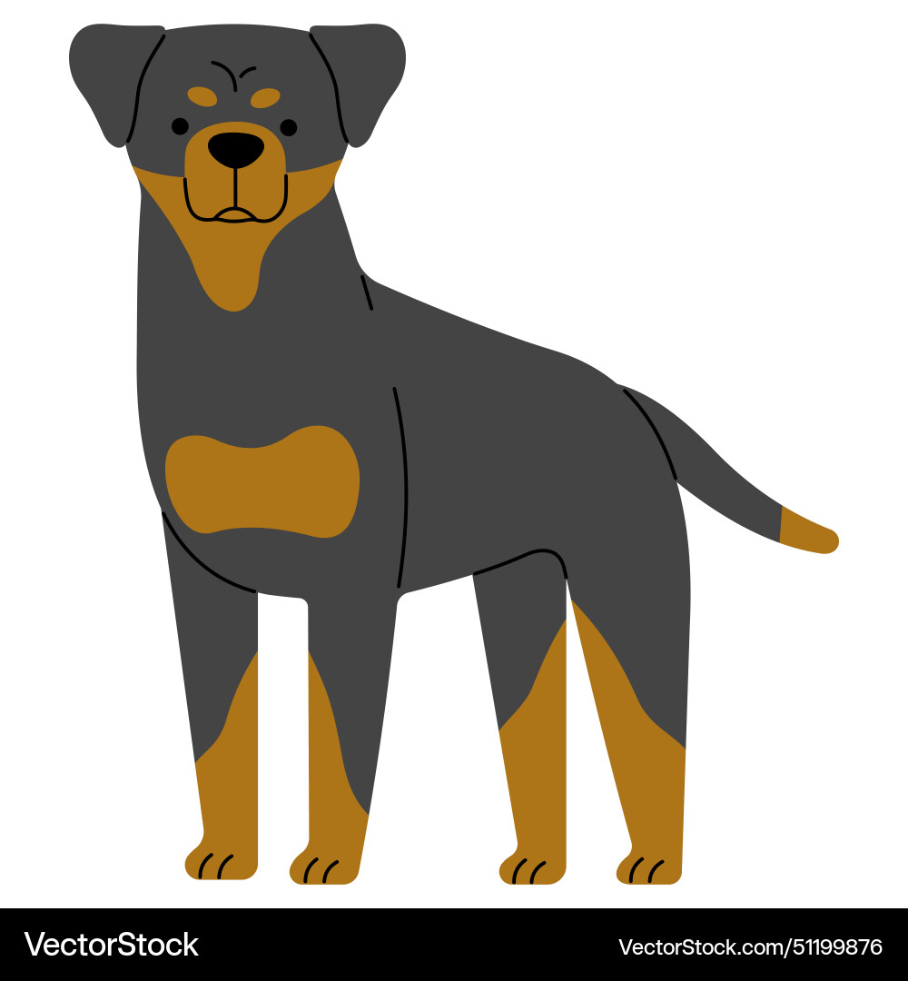 Rottweiler Royalty Free Vector Image - VectorStock