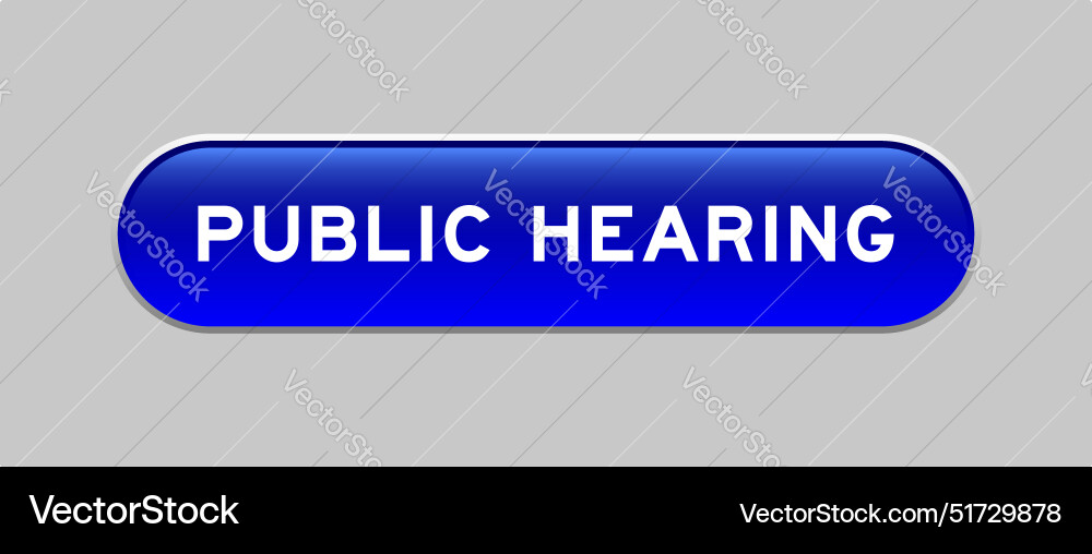 Blue color capsule shape button with word public Blue color capsule shape button with word public vector image
