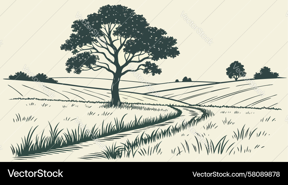 Lone Tree on Open Field Vector Image