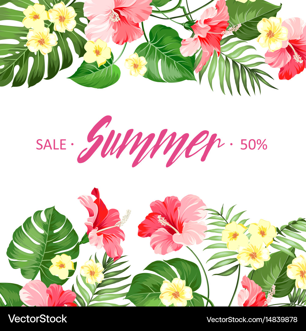 Summer Floral Sale Card Vector Image