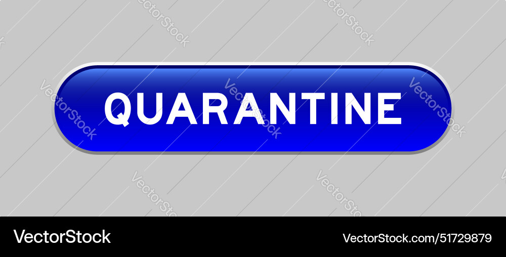 Blue color capsule shape button with word Blue color capsule shape button with word vector image