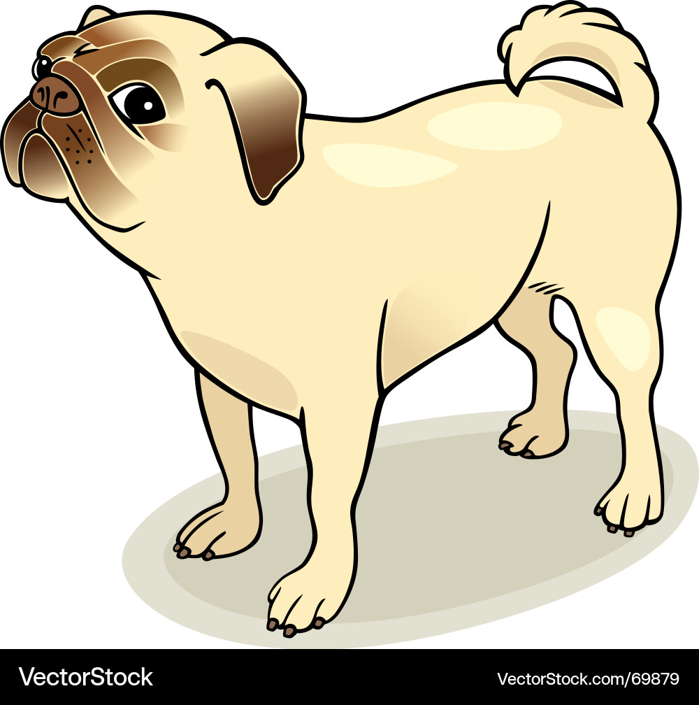 Cute Pug Dog Portrait Vector Image