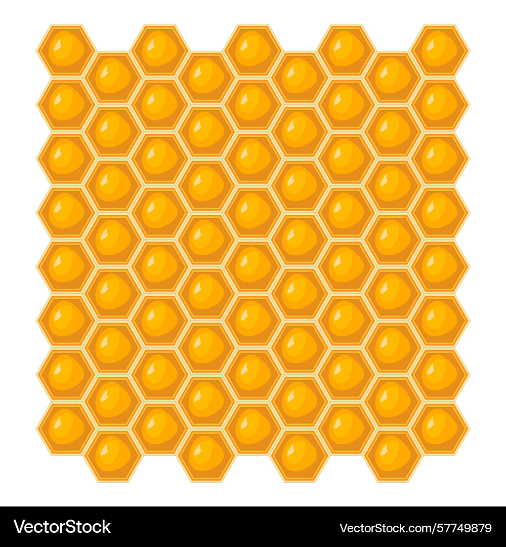 Honeycomb pattern with glossy honey cells Vector Image