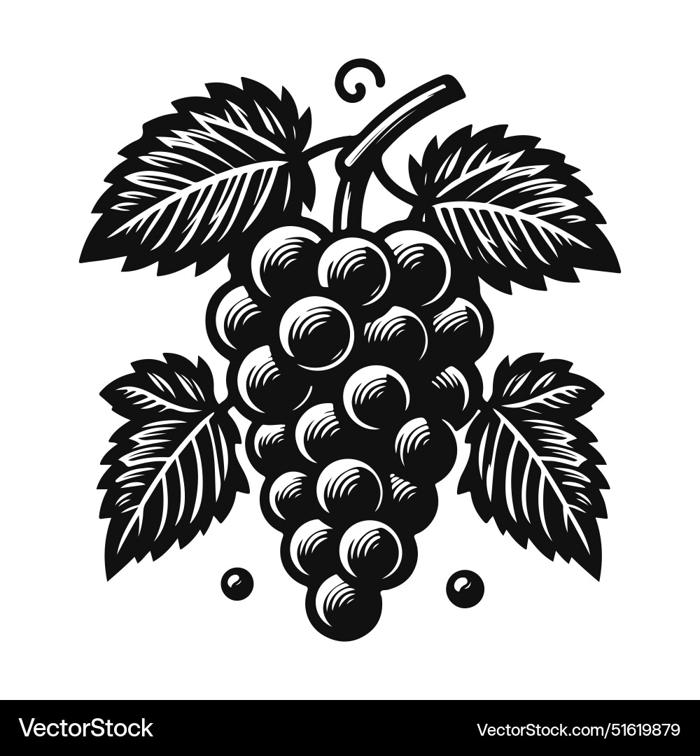 Simple black and white grape silhouette Royalty Free Vector