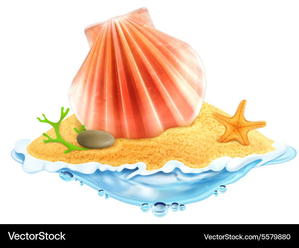 Seashell in the sand Royalty Free Vector Image