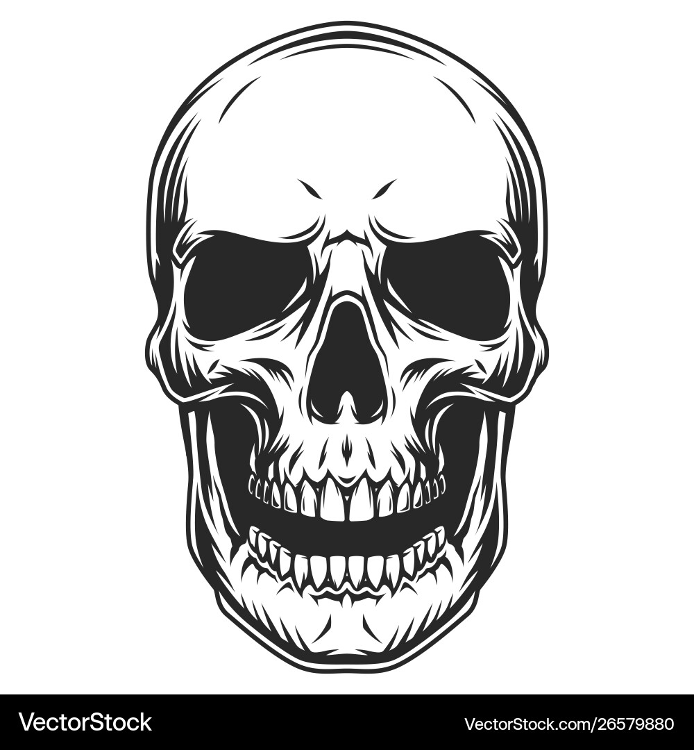 Vintage monochrome human skull template vector image